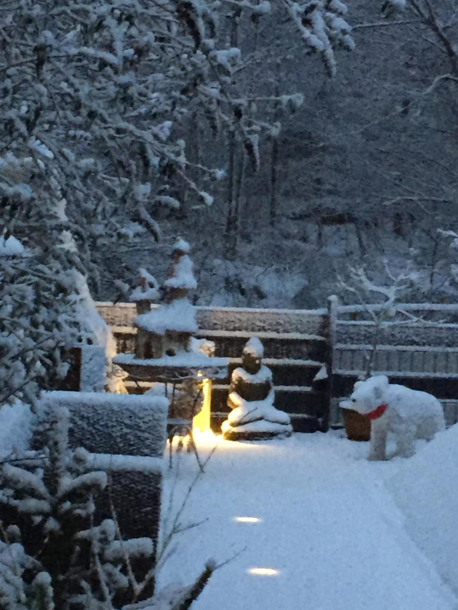 Ferienwohnung Im Morgenbachtal Trechtingshausen Bagian luar foto