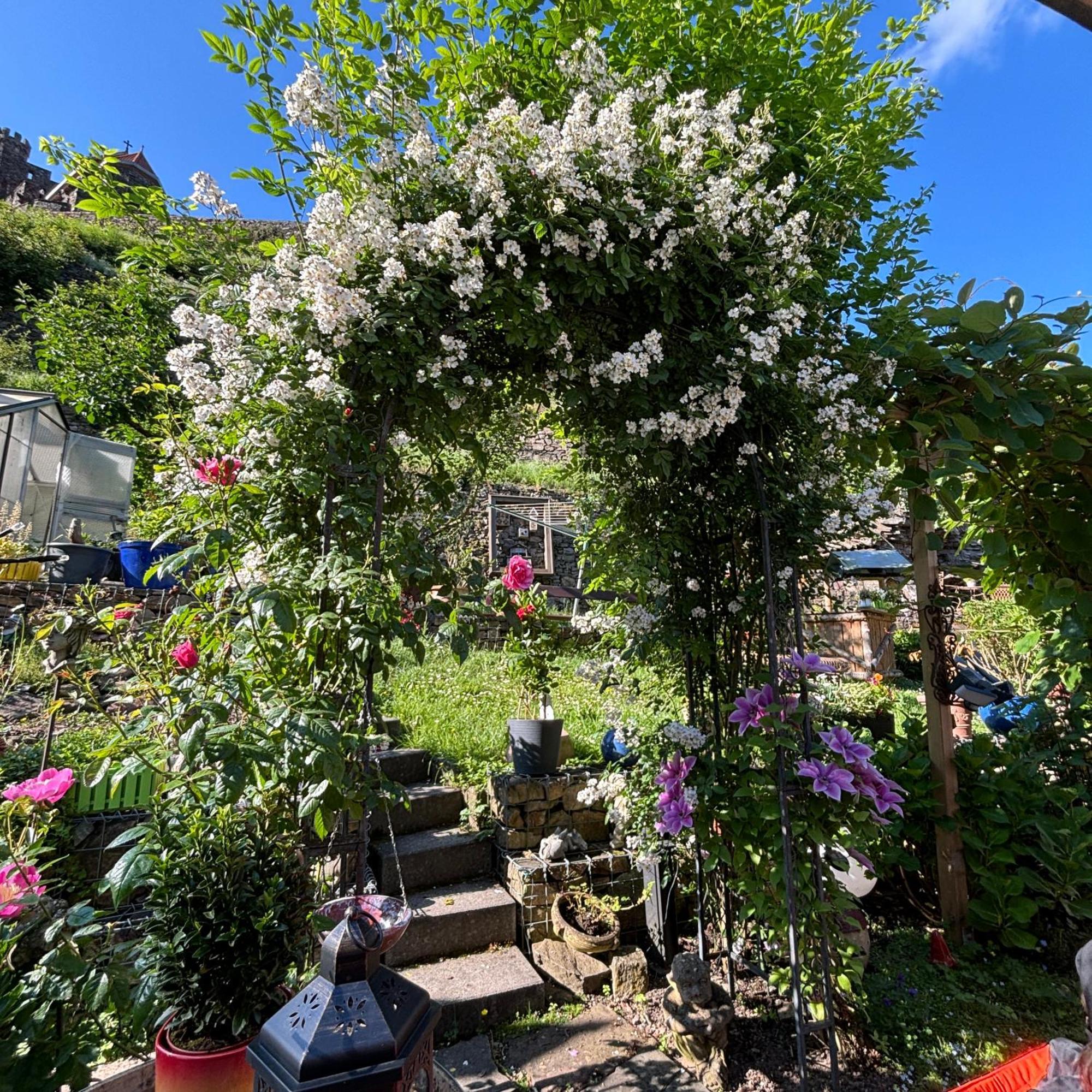 Ferienwohnung Im Morgenbachtal Trechtingshausen Bagian luar foto