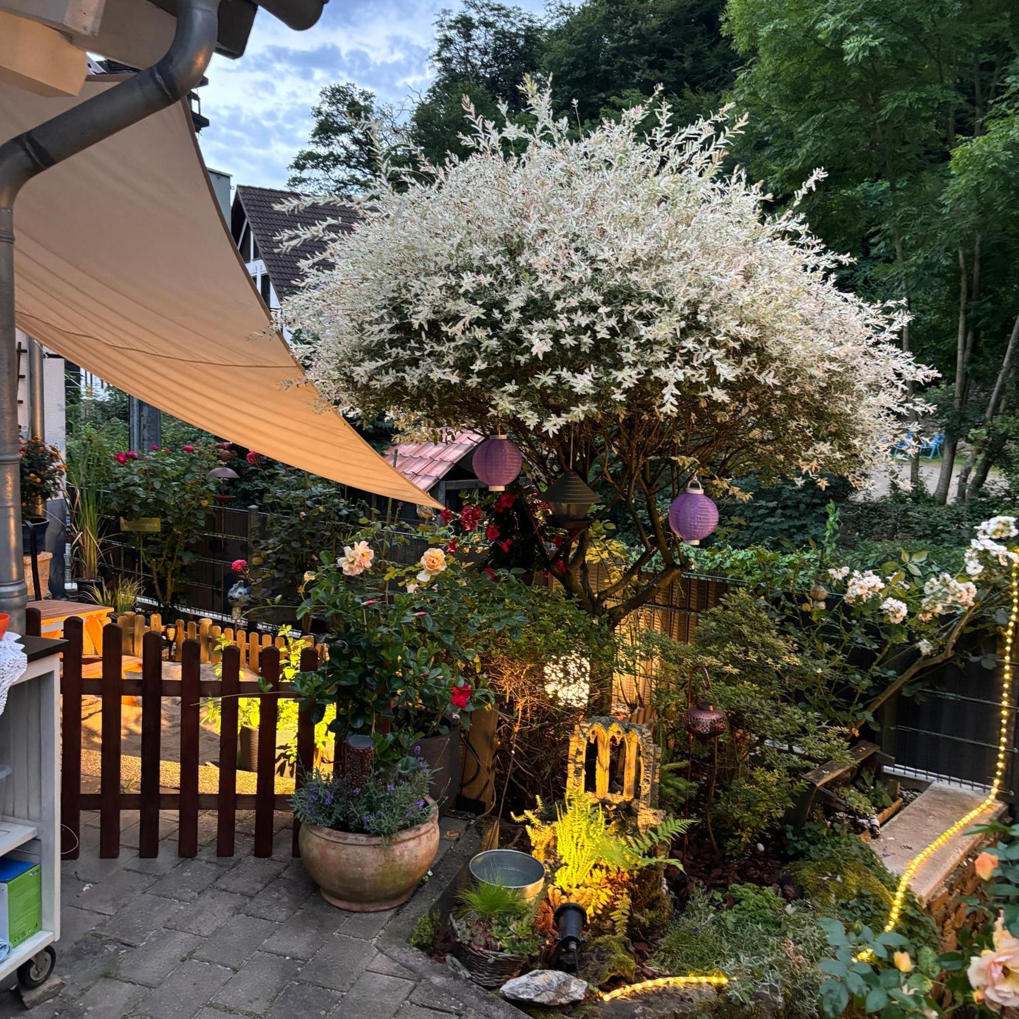 Ferienwohnung Im Morgenbachtal Trechtingshausen Bagian luar foto
