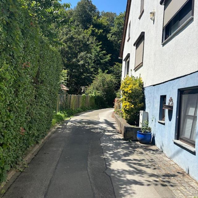 Ferienwohnung Im Morgenbachtal Trechtingshausen Bagian luar foto