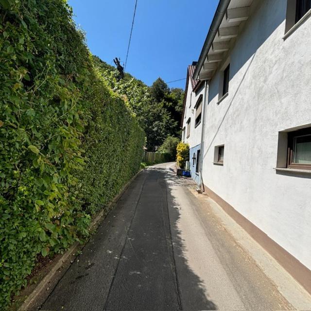 Ferienwohnung Im Morgenbachtal Trechtingshausen Bagian luar foto